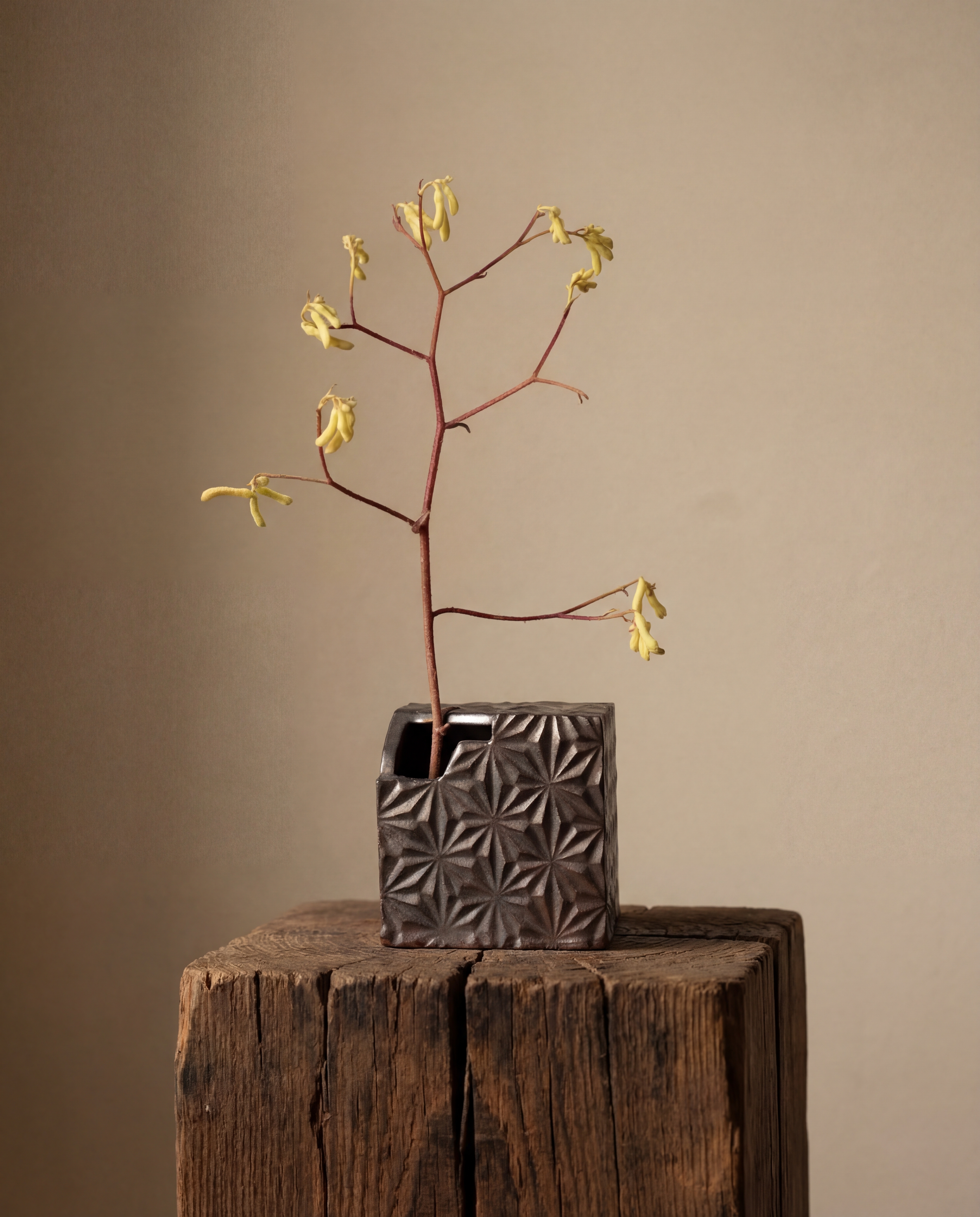 Wabi-Sabi Clay on Weathered Wood — cover image, product style by pixlkraft